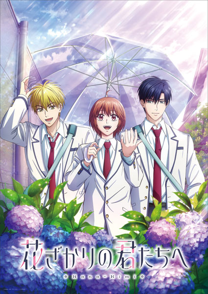 BD Hana-Kimi 2nd Season Blu-ray Disc BOX Vol.1 Completely Limited Production Edition