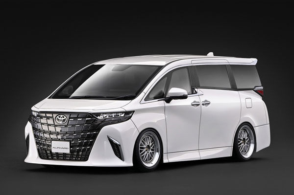 AmiAmi [Character & Hobby Shop] | 1/18 Toyota ALPHARD Z (H40W