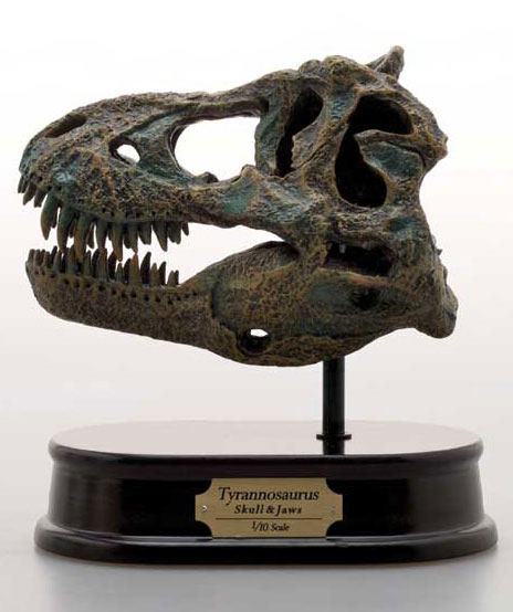 AmiAmi [Character & Hobby Shop] | [Old Edition] Dinosaur Skull