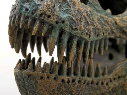AmiAmi [Character & Hobby Shop] | [Old Edition] Dinosaur Skull
