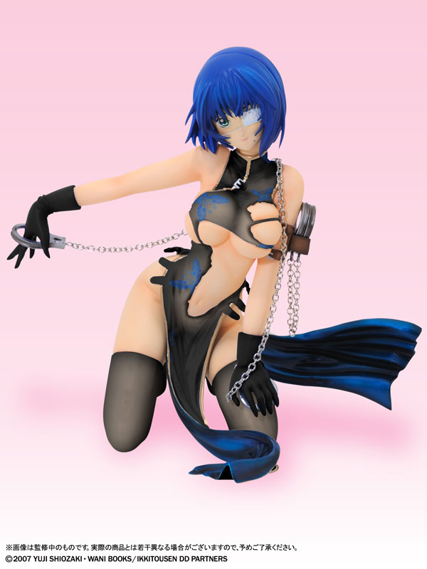 AmiAmi [Character & Hobby Shop] | Ikkitousen Dragon Destiny