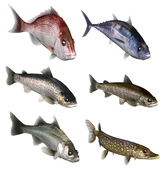 AmiAmi [Character & Hobby Shop] | 3DS Fish Eyes 3D(Released)