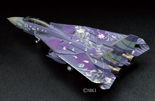 AmiAmi [Character & Hobby Shop] | Ace Combat Series 1/72 F-14D 