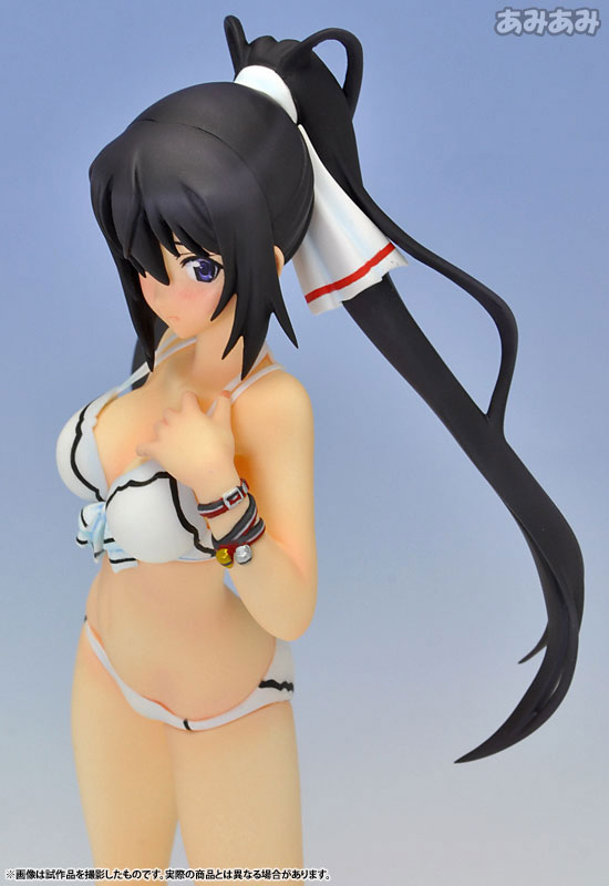 Dole Shinonono Houki Regular Version 「 IS <Infinite Stratos> 」 1/3 Hybrid  Active Figure No. 045, Toy Hobby