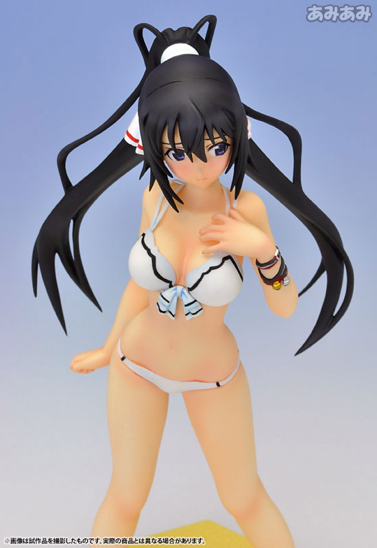 Dole Shinonono Houki Regular Version 「 IS <Infinite Stratos> 」 1/3 Hybrid  Active Figure No. 045, Toy Hobby