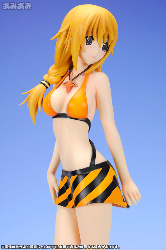 Charlotte Dunois: Swimsuit Ver.