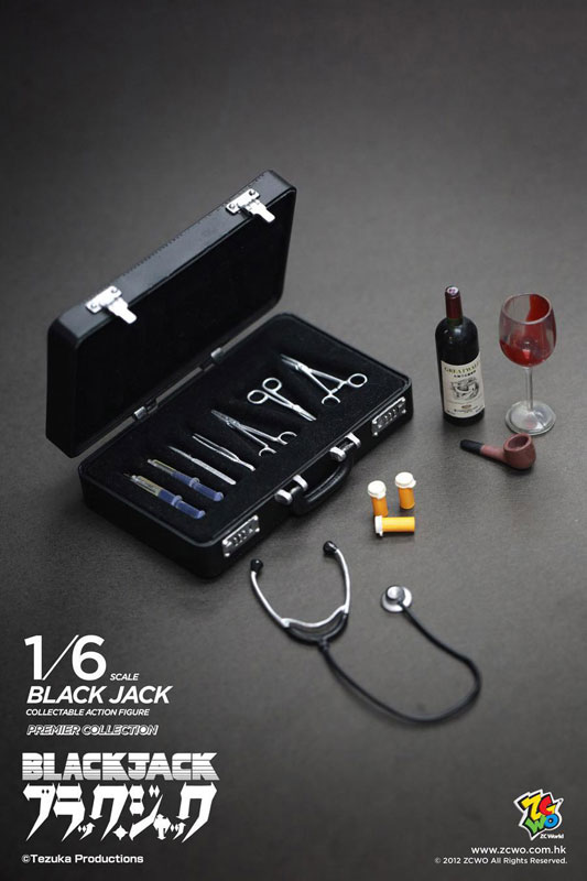 AmiAmi [Character & Hobby Shop] | [w/Japan Limited Bonus] ZC WORLD