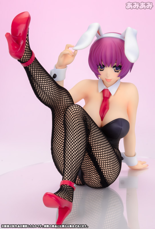 AmiAmi [Character & Hobby Shop] | V.I.P Rare Selection 2010 Winter