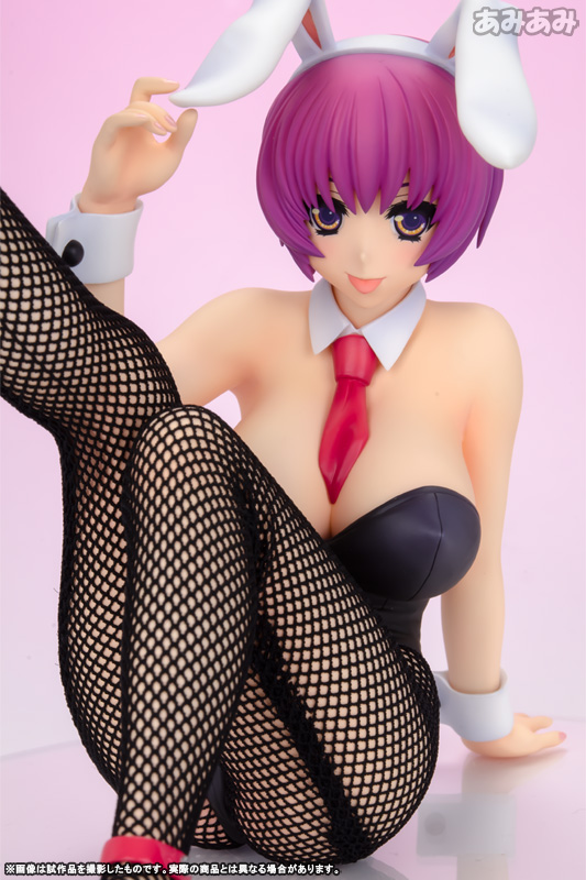 AmiAmi [Character & Hobby Shop] | V.I.P Rare Selection 2010 Winter