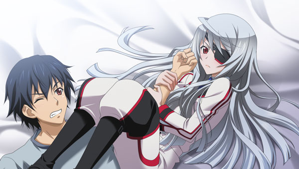 IS: Infinite Stratos 2 - PlayStation 3 Game - Visual Novel - Infinite  Stratos 2: Ignition Hearts - Limited Edition (5pb. Games, Overlap)