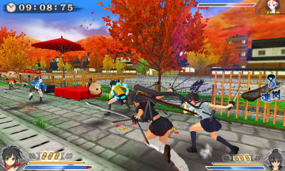  Senran Kagura 2: Deep Crimson - 'Double D' - Nintendo 3DS :  Marvelous USA Inc: Video Games