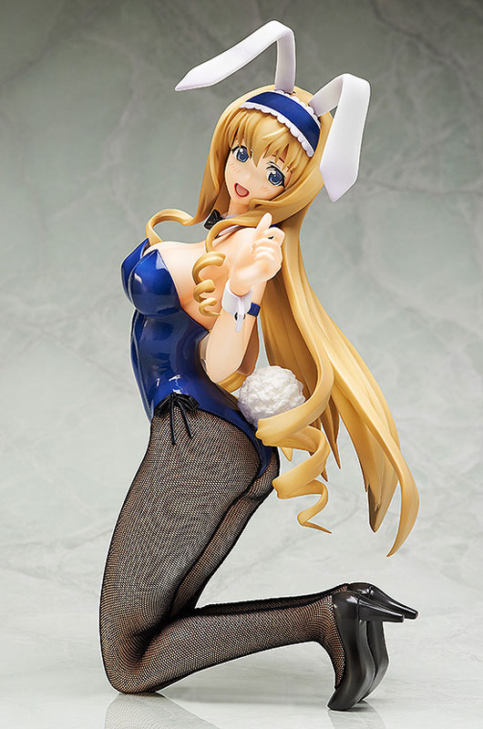 AmiAmi [Character & Hobby Shop] | Infinite Stratos - Cecilia