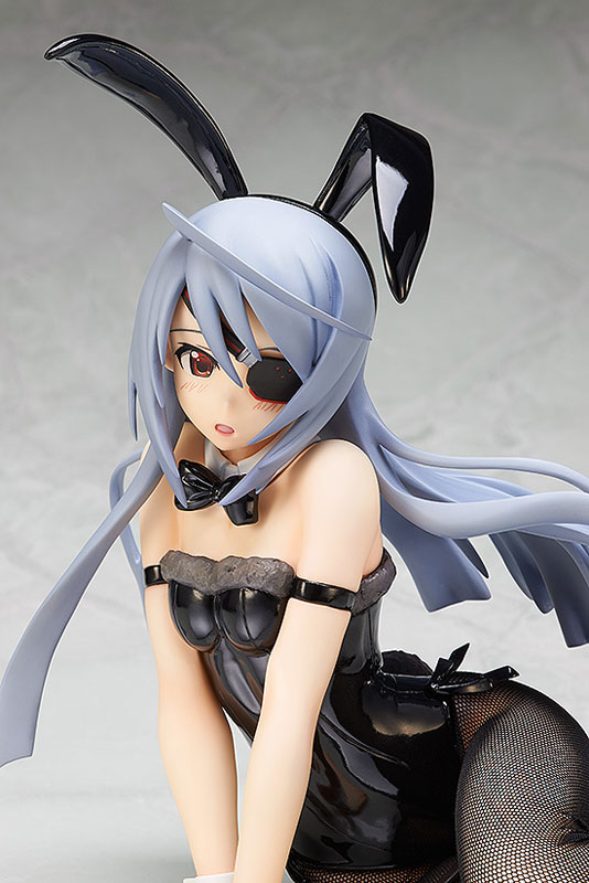 AmiAmi [Character & Hobby Shop] | Infinite Stratos - Laura Bodewig