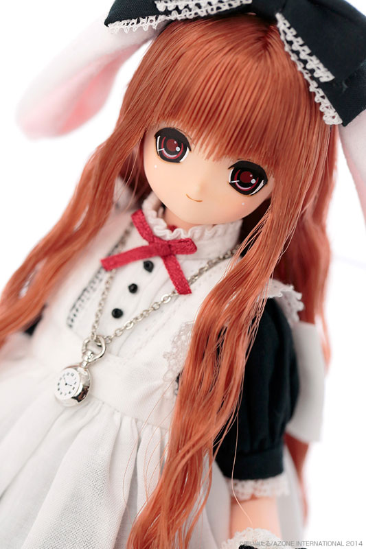 AmiAmi [Character & Hobby Shop] | EX Cute 10th Best Selection