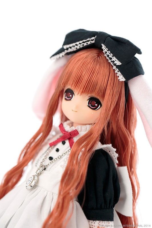 AmiAmi [Character & Hobby Shop] | EX Cute 10th Best Selection