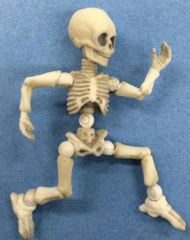 Posable Spooky Skeleton - Etsy