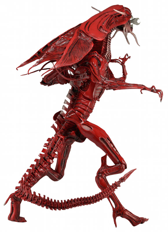 エイリアンフィギュア2点セット(赤〇)SF・ホラー alien AmiAmi [Character & Hobby Shop] | Alien - 7 Inch Action Figure