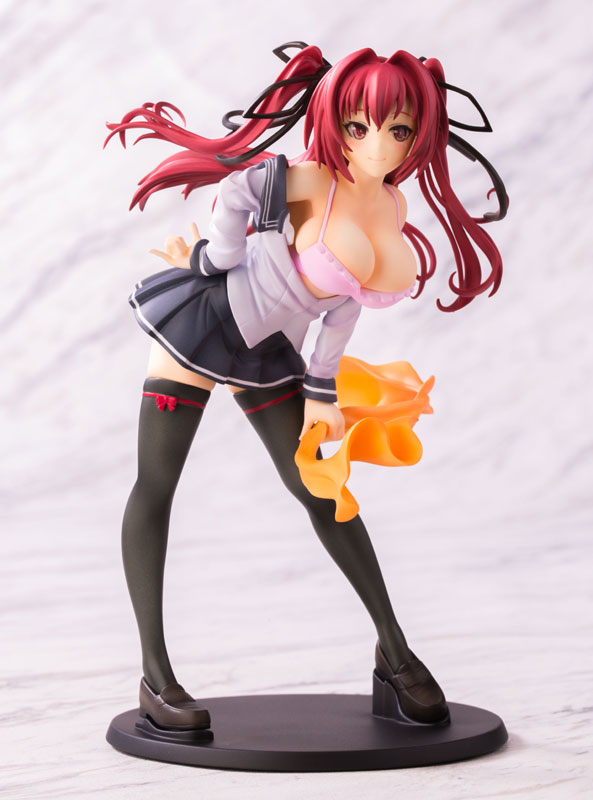 AmiAmi [Character & Hobby Shop] | The Testament of Sister New