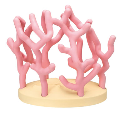 DORY様 AmiAmi [Character & Hobby Shop] | Finding Dory - Sango kara