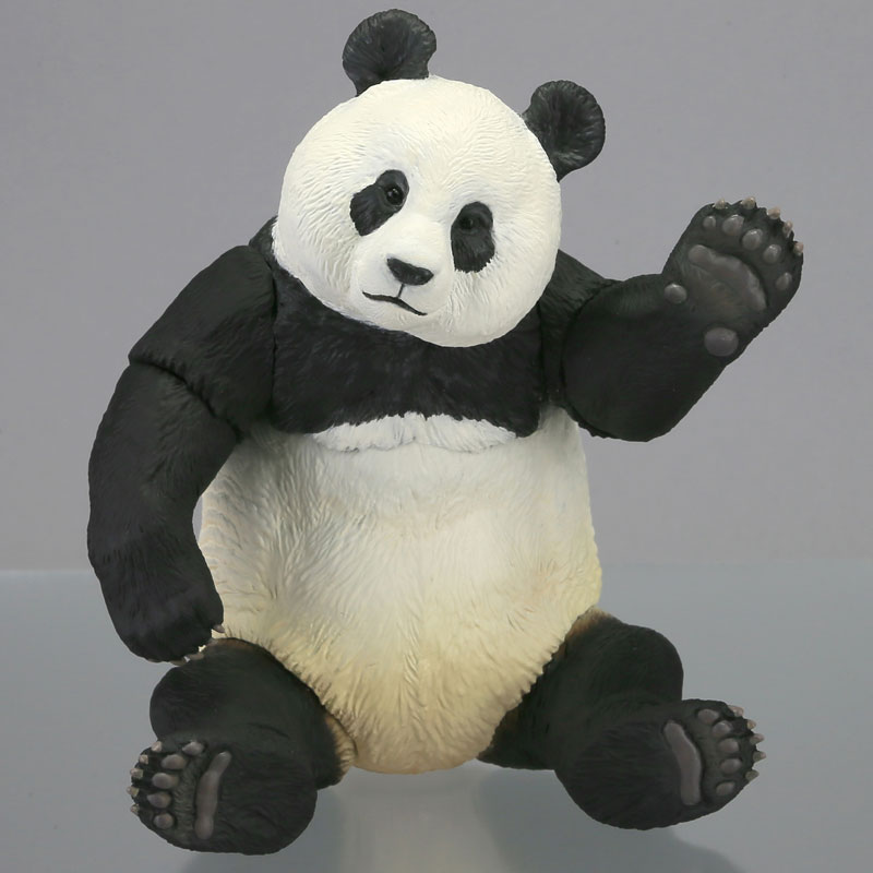 AmiAmi [Character & Hobby Shop] | (New Item w/ Box Damage