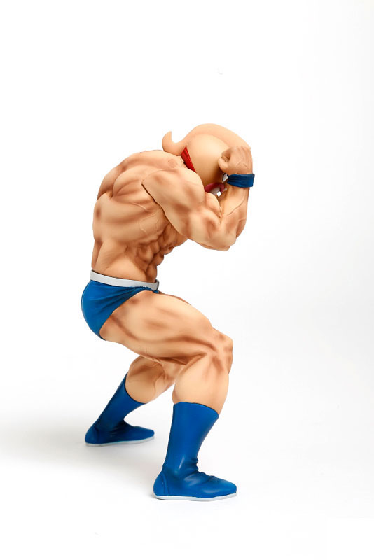 AmiAmi [Character & Hobby Shop] | CCP Muscular Collection