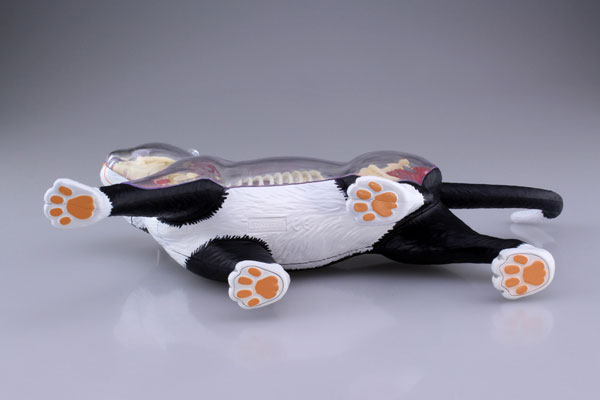 AmiAmi [Character & Hobby Shop] | Standing Puzzle 4D VISION