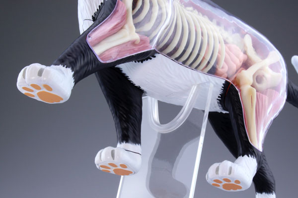 AmiAmi [Character & Hobby Shop] | Standing Puzzle 4D VISION