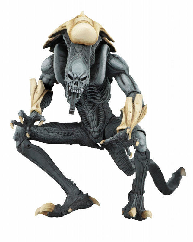 AmiAmi [Character & Hobby Shop] | Alien VS Predator Arcade / 7