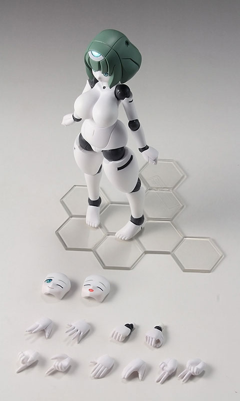 AmiAmi [Character & Hobby Shop] | Polynian - FLL Iana