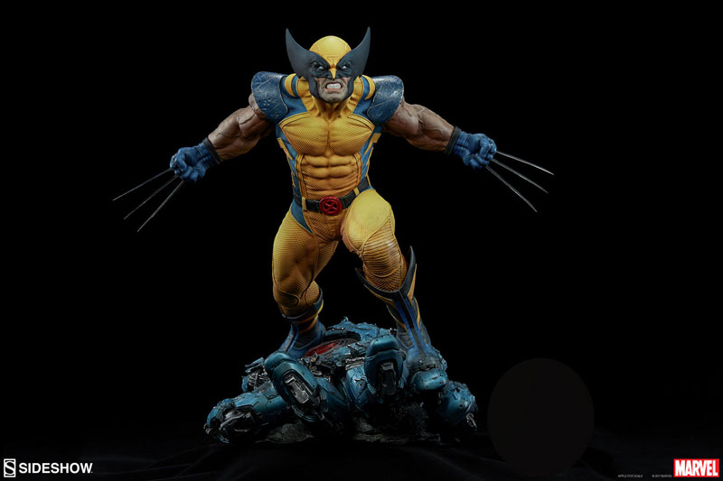 AmiAmi [Character & Hobby Shop] | Marvel Comics - Premium Format Figure:  Wolverine(Released)