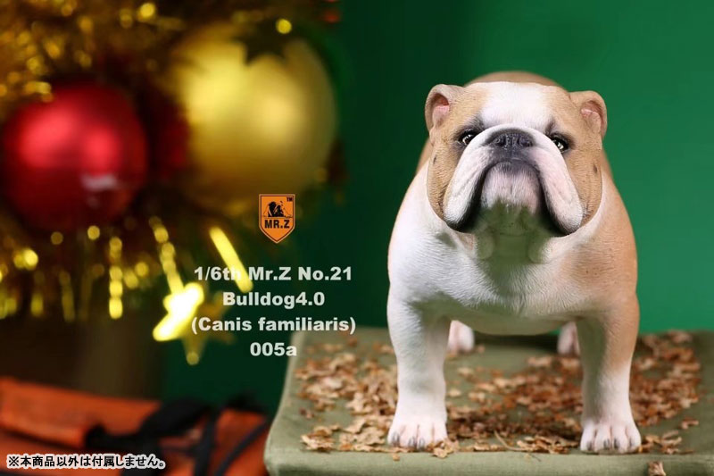 AmiAmi [Character & Hobby Shop] | 1/6 Bulldog Statue 4.0