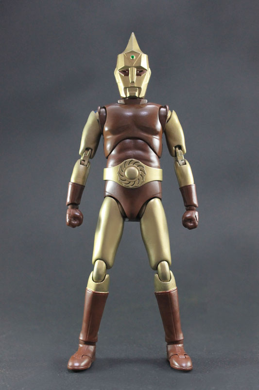 FIGURE-040463_01.jpg