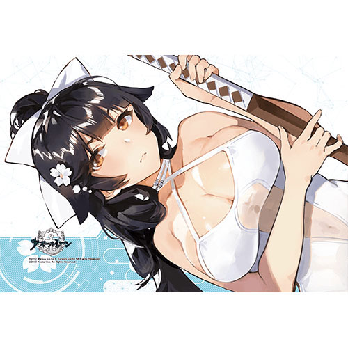 AmiAmi [Character & Hobby Shop]  Azur Lane - Pillow Cover (Takao