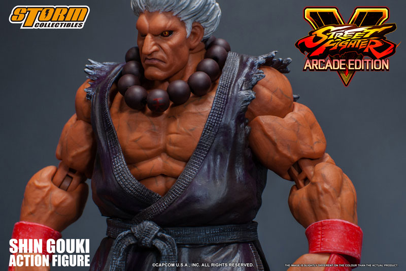 AmiAmi [Character & Hobby Shop] | Street Fighter V Action Figure