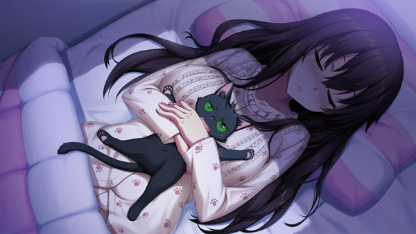 NEWS] Il gioco Nora, Princess, and Stray Cat diventa anime