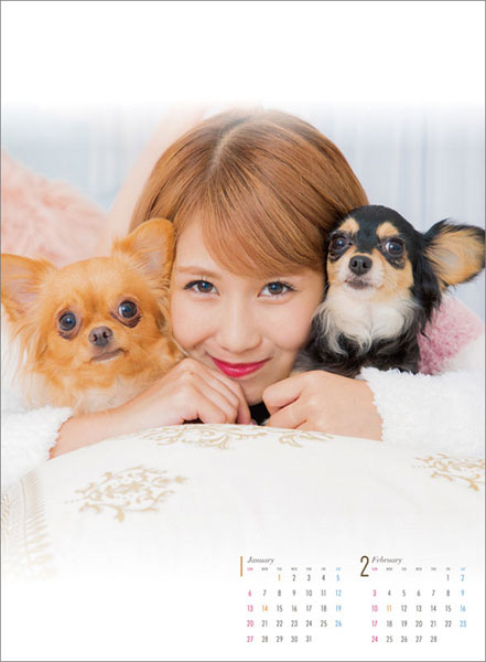 AmiAmi [Character & Hobby Shop] | Chisato Okai 2019 Calendar(Released)