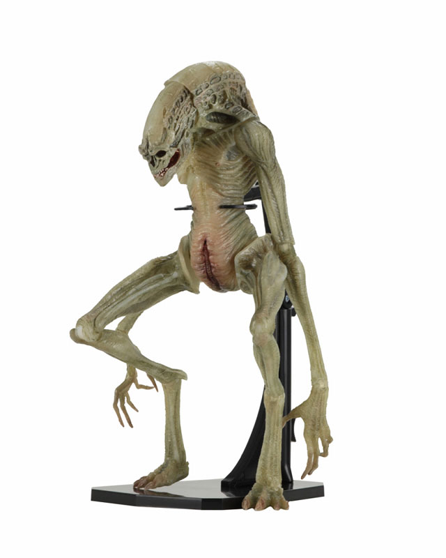 AmiAmi [Character & Hobby Shop] | Alien / 7 Inch Action Figure