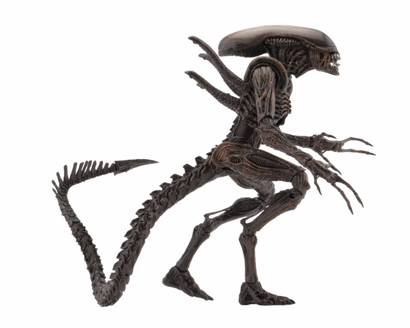 NECA エイリアン4 ウォーリアー　リザレクション レビュー:NECA(ネカ) リザレクション エイリアン ウォーリアー