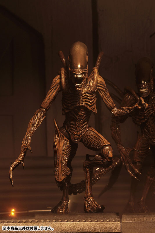 エイリアン4(エイリアン レザレクション)ウォリアーエイリアン AmiAmi [Character & Hobby Shop] | Alien / 7 Inch Action
