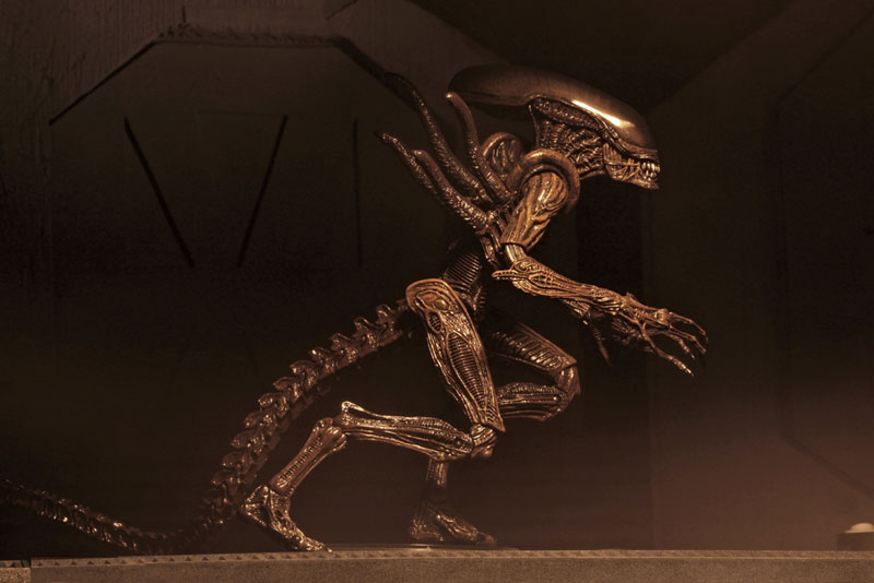 AmiAmi [Character & Hobby Shop] | Alien / 7 Inch Action