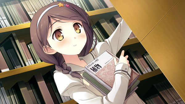 AmiAmi [Character & Hobby Shop] | PS Vita your diary+ Regular
