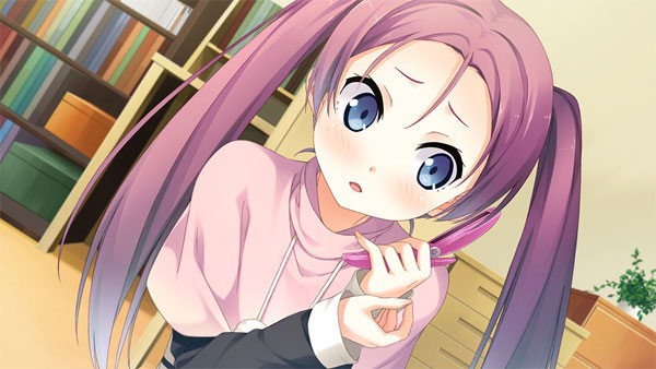 AmiAmi [Character & Hobby Shop] | PS Vita your diary+ Regular
