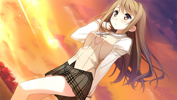AmiAmi [Character & Hobby Shop] | PS Vita your diary+ Regular