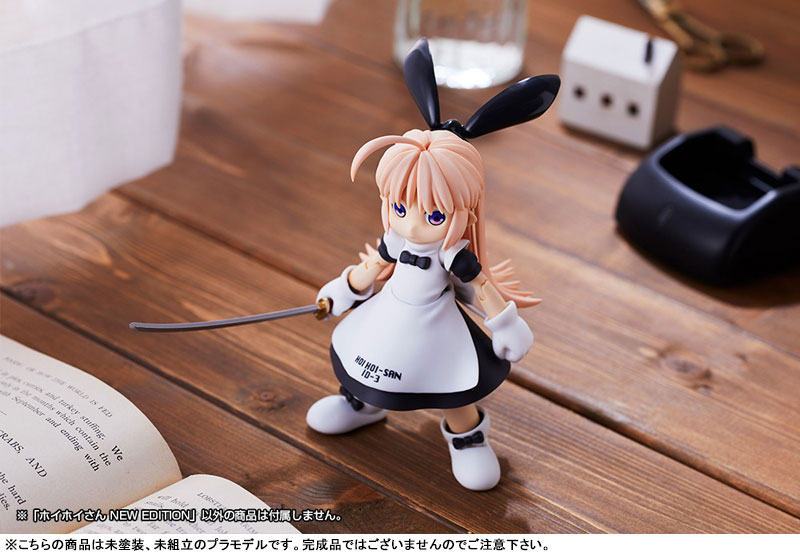 AmiAmi [Character & Hobby Shop] | Ichigeki Sacchu!! HoiHoi