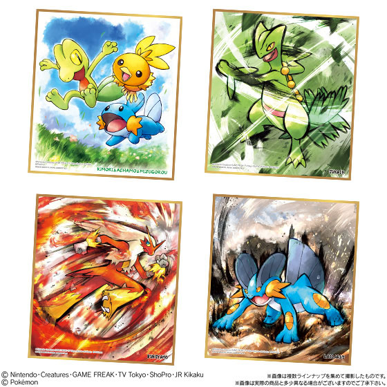 AmiAmi [Character & Hobby Shop] | Pokemon Shikishi ART 3
