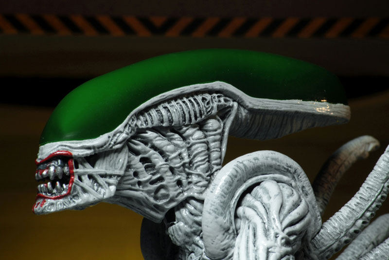 AmiAmi [Character & Hobby Shop] | NYCC2019 Comic-Con