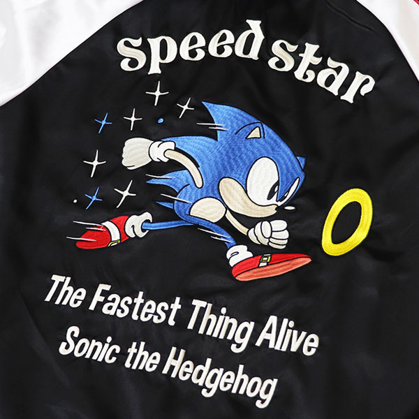 File:Metal cd02.png - Sonic Retro