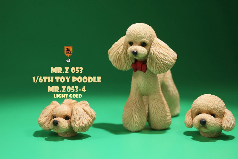 Toy 2024 poodle gold