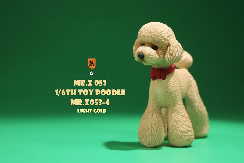 Toy clearance poodle gold