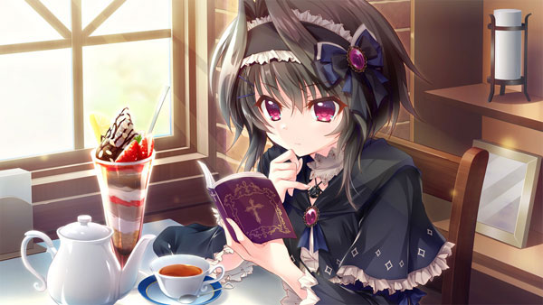 AmiAmi [Character & Hobby Shop] | PC Software 9-nine- Deluxe